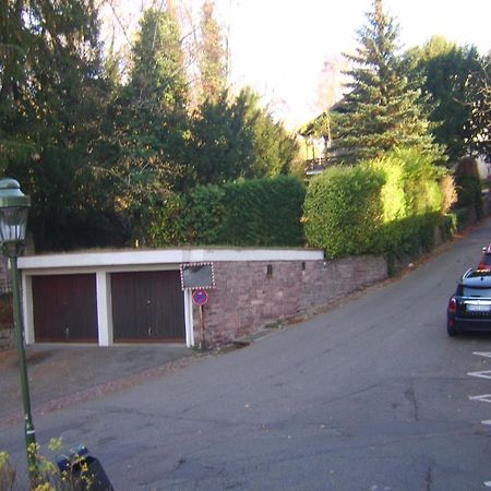 Garden Apartment Baden-Baden Zewnętrze zdjęcie
